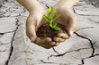 Fotolia Thumbnail